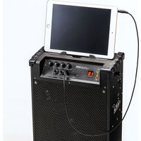 拡声器　ワイヤレスマイク　メガホン　スピーカーマイク　ハンドマイク型　MM-SPAMP10　サンワサプライ　1個（直送品）