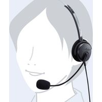 サンワサプライ USBヘッドセット コールセンター向け 片耳 軽量 左右両対応 MM-HSU12BK 1個（直送品）