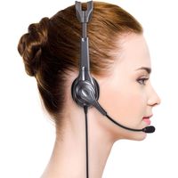 サンワサプライ ワイヤレスガイド用ヘッドセット 親機用 MM-WGS1T用 MM-WGS1T-HS2 1個（直送品）