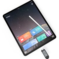 ADAM elements ADAM iKlips C Lightning USBメモリ 128GB グレー ADRAD128GKLCGYJ 1個（直送品）