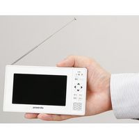 ファミリー・ライフ 録画もできる大画面ポケットテレビラジオ 03836 1個（直送品）