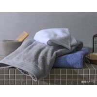 ファインカラーコンフォール フェイスタオル シルバーグレー 240枚(10×24) 865074 1ケース(240枚入(10枚×24袋))（直送品）