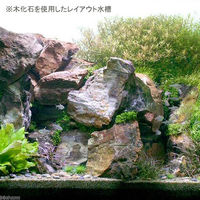 形状お任せ 木化石 サイズミックス 2250001156673 1個（直送品）