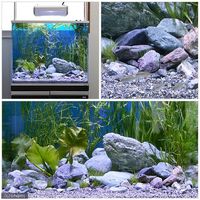 リーフ 渓流石 No.8 約10kg 2250001618805 1個（直送品）