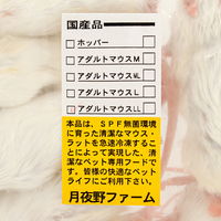 月夜野ファーム 冷凍★アダルトマウスＬＬ（１０匹） 月夜野ファーム 冷凍マウス 170343 1個（直送品）