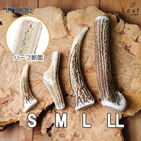 リーフ 鹿の角　Ｌサイズ　ハーフカット 2250001746997 1個（直送品）