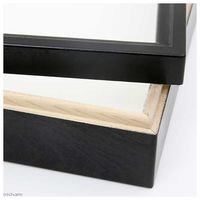 志賀昆虫普及社 特製ドイツ型標本箱 志賀昆虫 大型 昆虫 2250001788539 1個（直送品）