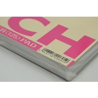 ミューズ ザ・スケッチ A4 1700 1セット(10冊)