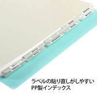 プラス たすけあ 無地IDX 5山×2 GY 98081 1組 インデックス ファイル 介護 A4 見出し ポリプロピレン製
