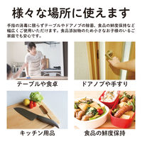 【対物用除菌剤】アルコール製剤MK66 1本 松井酒造