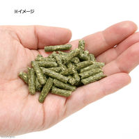 リーフ チモシーペレット カリうま 450g×2個セット 192595 1セット（直送品）