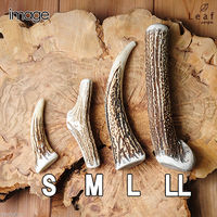 リーフ 鹿の角 LLサイズ 長さ18cm以上 大型犬 196049 1個（直送品）