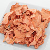 リーフ 国産 うさぎの食事プレミアム 1.2kg 全成長段階用 + 埼玉県産 新にんじん 50g 211756 1セット（直送品）