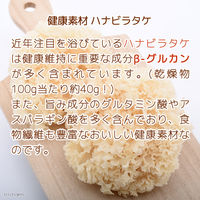 リーフ 国産 ハナビラタケと鶏ささみのパウダー ハナビラタケ30% 212068 1個（直送品）