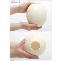 リーフ ダチョウのたまごハウス　１個　小動物のおうち　希少　ハムスター 2250002121557（直送品）
