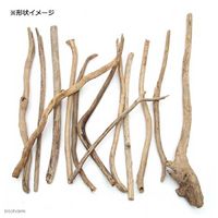 リーフ 形状おまかせ 棒状流木 ショート DIY素材 213690 1セット（直送品）