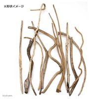 リーフ (大型)形状お任せ 棒状流木 ロング(長さ100cm以上) 5本セット DIY素材 213691 1セット（直送品）