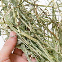 リーフ カナダ産チモシー 1番刈 ダブルプレス 3kg 231180 1個（直送品）