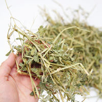 リーフ 未選別 ワシントン産アルファルファ 1番刈 段ボール箱 5kg 231182 1個（直送品）