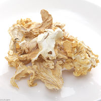 リーフ 国産 ハナビラタケ 天然サプリメント カップタイプ 2250002317578 1個（直送品）