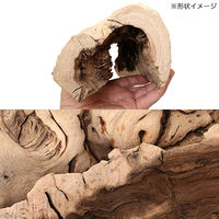 リーフ 天然素材のハーフシェルター M グレープバイン トカゲ ヤモリ 2250002333097 1個（直送品）