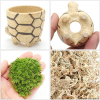 苔を育てる　コケカメくん育成セット　卓上サイズ植物 2250002373284 １セット（直送品）