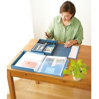 キングジム 自分まとめファイル AM2525 1個