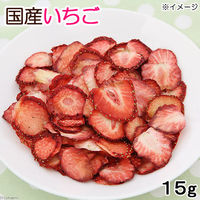 リーフ 国産 モルモットの食事プレミアム1.2kg 国産いちご15gセット 320335 1セット（直送品）