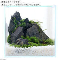 Aqullo スーパークリア 苔テラリウム アクロ２０Ｓ（２０×２０×２０） 334566 1個（直送品）