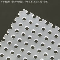 リーフ 塩ビ穴開きフタ 30cmキューブ水槽用 小動物 372024 1個（直送品）