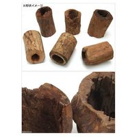 リーフ 天然素材 形状おまかせ マングローブの木 2250003751944 1個（直送品）