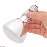 ポゴナ・クラブ ビバリウムバスキングスポット 60W 爬虫類 保温球 4531219003521 1個（直送品）