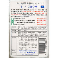 どじょう養殖研究所 グロウC(顆粒タイプ)100g 14671 1個（直送品）