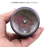 ジクラ ウォーター ベニッシモ(中・大型魚用) 4560113590066 1個（直送品）