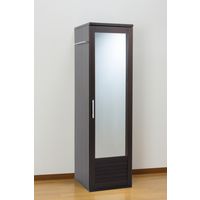 ファミリー・ライフ ロッカータンス ミラー付 幅450×奥行500×高さ1600mm ホワイト 0382230 1台（直送品）