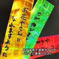エヒメ紙工 ホログラムキラキラ短冊 ETA-HO010 1セット(1冊×10)