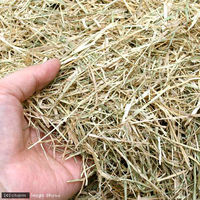 リーフ バミューダヘイ チャック袋 1kg(250g×4袋) 23855 1セット（直送品）