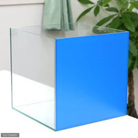 Aqullo バックスクリーン貼付済　アクアブルー 4580295511758 1個（直送品）