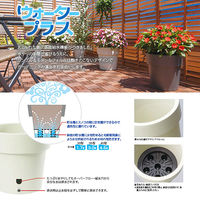 大和プラスチック ウォータープラス 35型 ブラック 底面給水 4903266727017 1個（直送品）