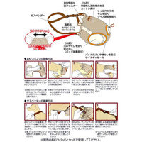 ペティオ 老犬介護用 オムツパンツ M おもらし 4903588236334 1個（直送品）