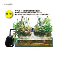 ゼンスイ 爬虫類 植物用加湿器 FOG(フォグ) テラリウム パルダリウム 238164 1個（直送品）