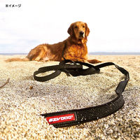 新東亜交易 リード イージードッグ トラック&トレイン ブラック 4959283054896 1個（直送品）