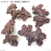 カミハタ カリブシー ライフロック アーチ 4971664433724 1個（直送品）