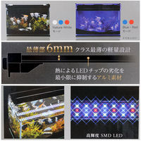 寿工芸 フラットLED ツイン 600 4972814033405 1個（直送品）