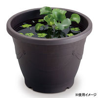 スドー メダカの深鉢 黒茶 13号 332088 1個（直送品）