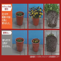 ハイポネックスジャパン マグァンプK 中粒 元肥 4977517005186 1個（直送品）