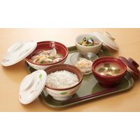 三信化工 エスタートレイ 角 SE-330-MOG 1枚（直送品）