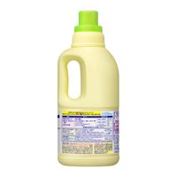 ワイドハイター 本体1000mL 1セット（2個） 衣料用漂白剤 花王