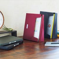 リヒトラブ ALTNA スタンドケース A4 スリム ブラック A7770-24 1セット(2冊)