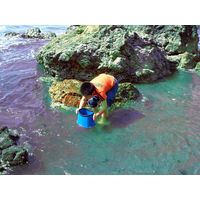 山研工業 たこめがね 29050007 1個